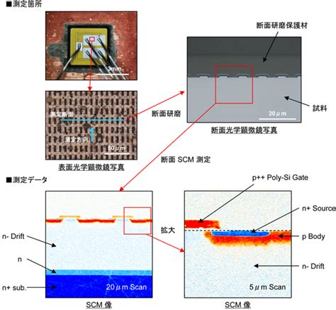 scm分析|表面分析 (SA)